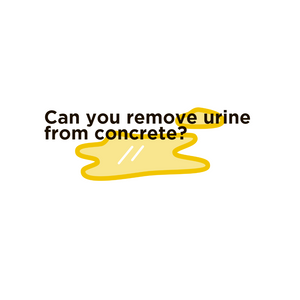 Can you remove urine from concrete?