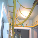 Wall & Ceiling Active Hose Upgrade Kit (for Injectidry HP Floor Drying Pkg)