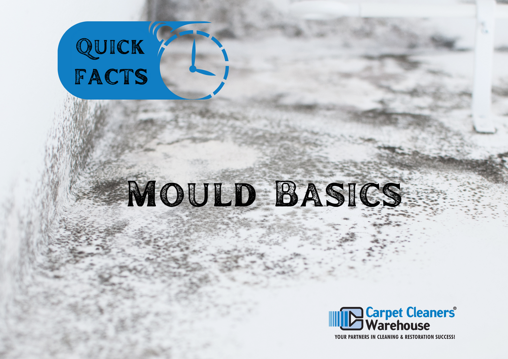 What you need to know about Mould.