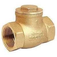 3/4 Swing Check CVP Valve