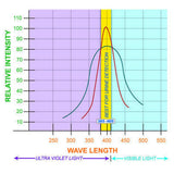 LED UV Flashlight (51 LEDs)